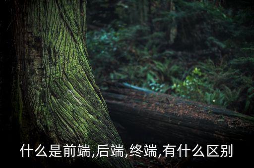 什么是前端,后端,終端,有什么區(qū)別