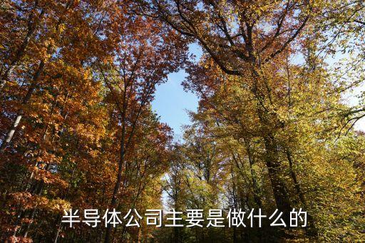  半導(dǎo)體公司主要是做什么的