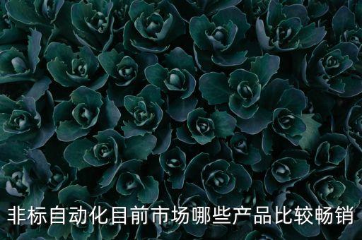 非標(biāo)自動(dòng)化目前市場(chǎng)哪些產(chǎn)品比較暢銷