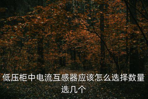 低壓電流互感器,什么是低壓電流互感器?