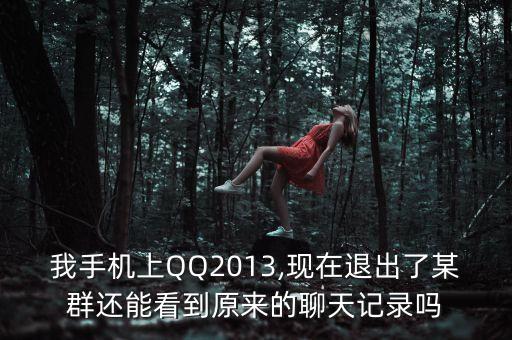 我手機(jī)上QQ2013,現(xiàn)在退出了某群還能看到原來(lái)的聊天記錄嗎