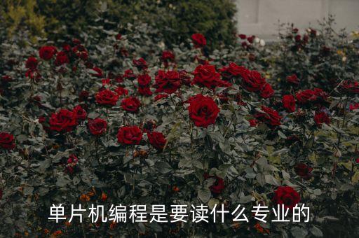 單片機自動化技術專業(yè),自動化專業(yè)就業(yè)方向