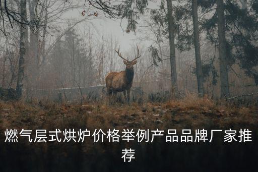 自動化切片設(shè)備廠家,牛肉切片機怎么操作方式