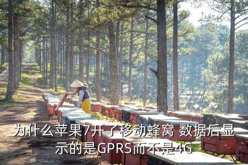 iphone7數(shù)據(jù)流量圖標(biāo)