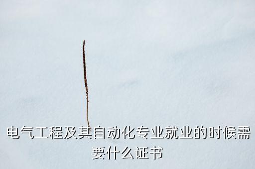 電氣自動化要考電工證嘛,電氣自動化專業(yè)需要考什么證書?