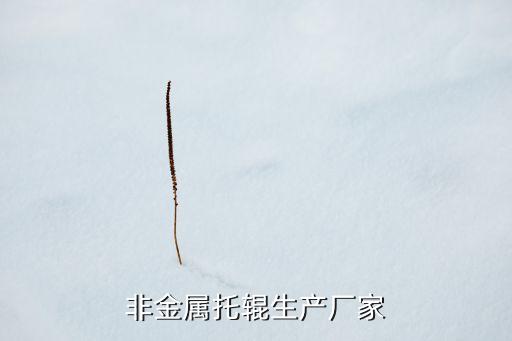 非金屬托輥生產廠家