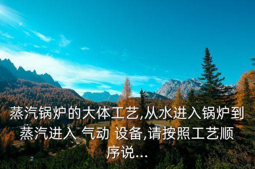 蒸汽鍋爐的大體工藝,從水進(jìn)入鍋爐到蒸汽進(jìn)入 氣動(dòng) 設(shè)備,請按照工藝順序說...