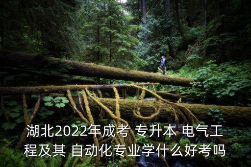 電氣自動化專升本武昌,河北電氣自動化專升本學(xué)校