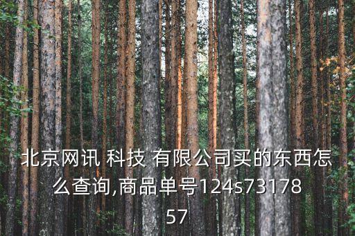 北京網訊 科技 有限公司買的東西怎么查詢,商品單號124s7317857