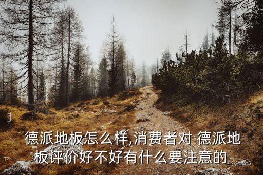  德派地板怎么樣,消費者對 德派地板評價好不好有什么要注意的