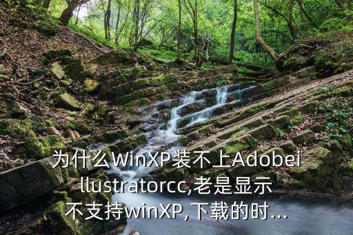 ccxp,ccxprocess可卸載什么東西?