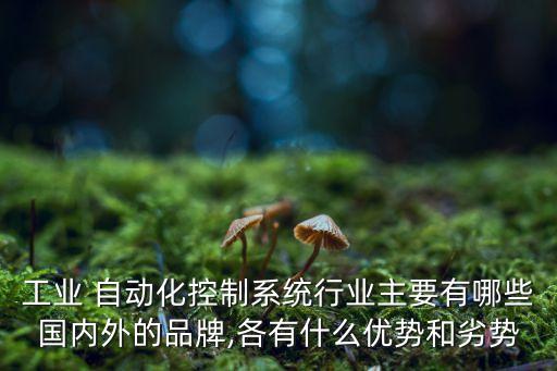 工業(yè) 自動(dòng)化控制系統(tǒng)行業(yè)主要有哪些國(guó)內(nèi)外的品牌,各有什么優(yōu)勢(shì)和劣勢(shì)