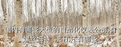 國內(nèi)有哪些大型的自動化儀表公司,有螺絲姆特、E H.還有哪些