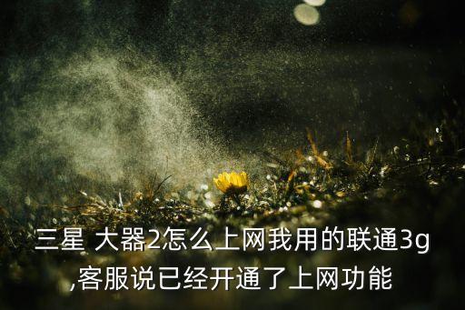 三星 大器2怎么上網(wǎng)我用的聯(lián)通3g,客服說已經(jīng)開通了上網(wǎng)功能