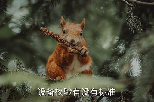 設備校驗有沒有標準
