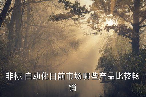 非標(biāo) 自動(dòng)化目前市場(chǎng)哪些產(chǎn)品比較暢銷