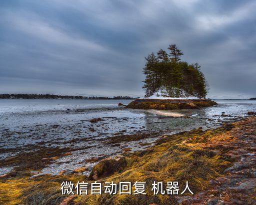 微信自動回復 機器人