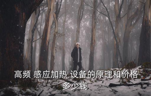  高頻 感應(yīng)加熱 設(shè)備的原理和價格多少錢