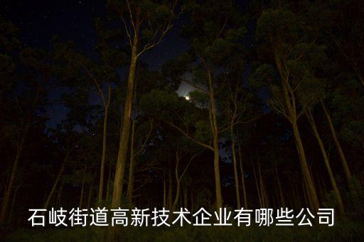 石岐街道高新技術(shù)企業(yè)有哪些公司