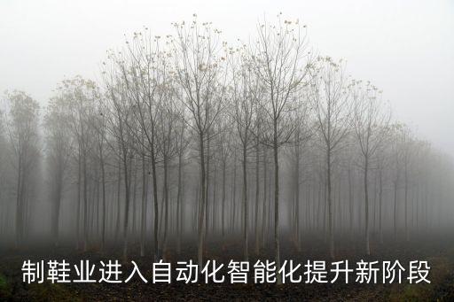 制鞋業(yè)進入自動化智能化提升新階段
