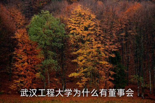 武漢工程大學(xué)為什么有董事會(huì)