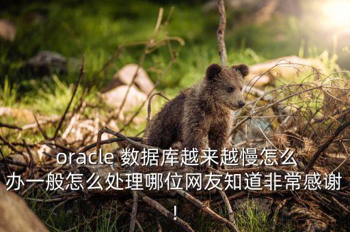 oracle 數(shù)據(jù)解決方案,數(shù)據(jù)中臺(tái)解決方案