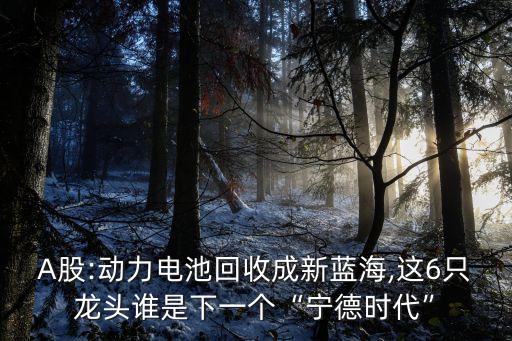 A股:動力電池回收成新藍(lán)海,這6只龍頭誰是下一個(gè)“寧德時(shí)代”