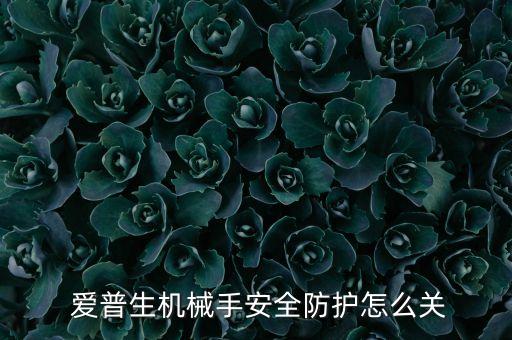  愛普生機械手安全防護怎么關