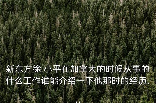 新東方徐 小平在加拿大的時候從事的什么工作誰能介紹一下他那時的經(jīng)歷...