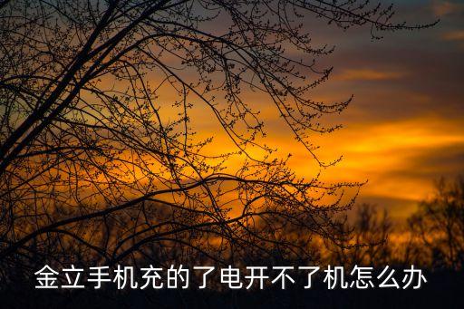 金立s5數(shù)據(jù)線,金立手機(jī)充不進(jìn)電怎么辦?一文看懂