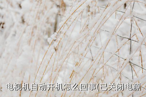 電視機自動開機怎么回事(已關(guān)閉電源