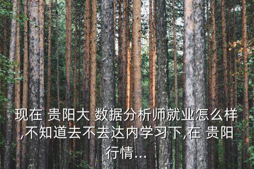 現(xiàn)在 貴陽大 數(shù)據(jù)分析師就業(yè)怎么樣,不知道去不去達內(nèi)學(xué)習(xí)下,在 貴陽行情...