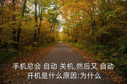 小米手機(jī)自動(dòng)關(guān)機(jī)自動(dòng)開(kāi)機(jī)的原因以及解決辦法