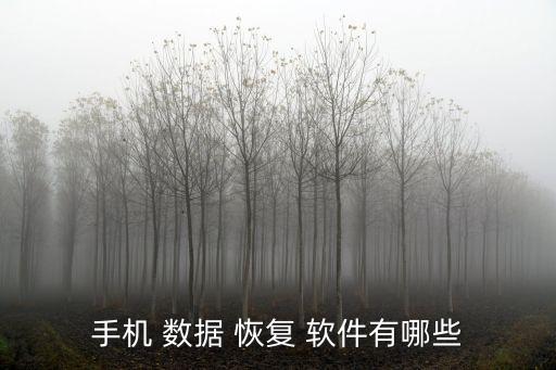 手機(jī) 數(shù)據(jù) 恢復(fù) 軟件有哪些