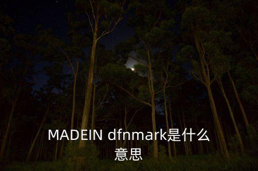 MADEIN dfnmark是什么意思