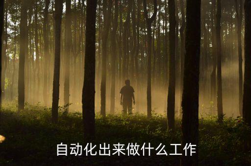 自動化出來做什么工作