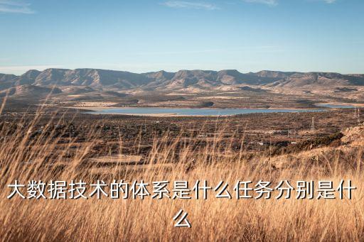 大數(shù)據(jù)技術(shù)的體系是什么任務(wù)分別是什么