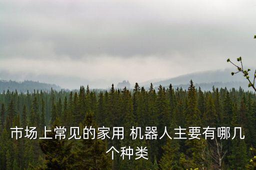 市場上常見的家用 機(jī)器人主要有哪幾個(gè)種類