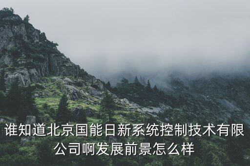 誰知道北京國能日新系統(tǒng)控制技術(shù)有限公司啊發(fā)展前景怎么樣