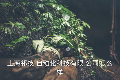 嘉定區(qū)自動化三維檢測公司,AM-DESK自動化三維檢測平臺