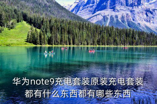套裝數(shù)據(jù)線,蘋果充電器套裝只發(fā)給我一個(gè)數(shù)據(jù)線怎么辦?