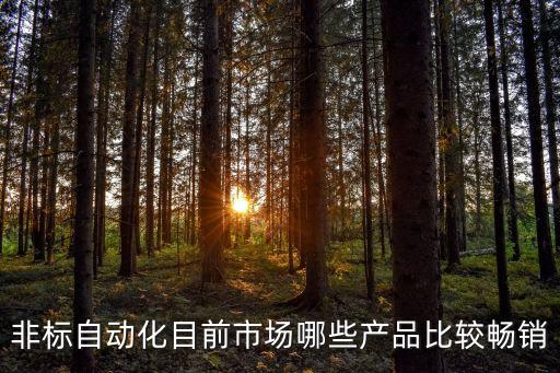 非標(biāo)自動(dòng)化目前市場(chǎng)哪些產(chǎn)品比較暢銷(xiāo)