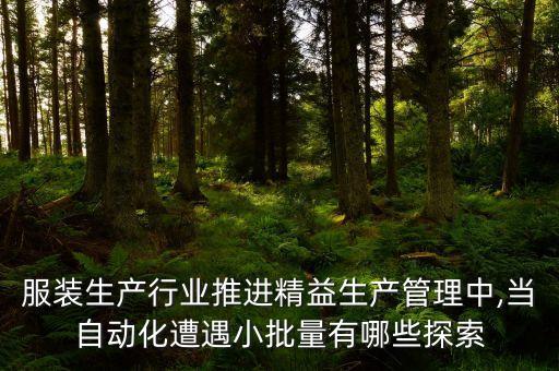 服裝生產(chǎn)行業(yè)推進精益生產(chǎn)管理中,當(dāng)自動化遭遇小批量有哪些探索