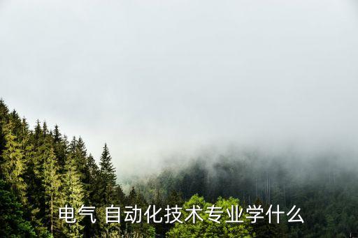  電氣 自動化技術(shù)專業(yè)學什么