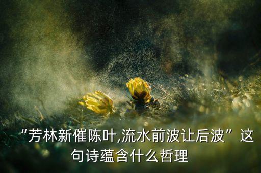 “芳林新催陳葉,流水前波讓后波”這句詩蘊含什么哲理