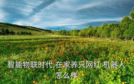 家庭服務(wù)機(jī)器人小胖,我和小胖機(jī)器人450字作文