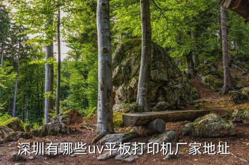 深圳市裕豐自動(dòng)化公司,深圳蜂鳥(niǎo)互聯(lián)科技有限公司怎么樣?
