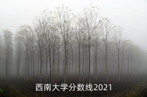西南大學(xué)電氣工程及自動(dòng)化,