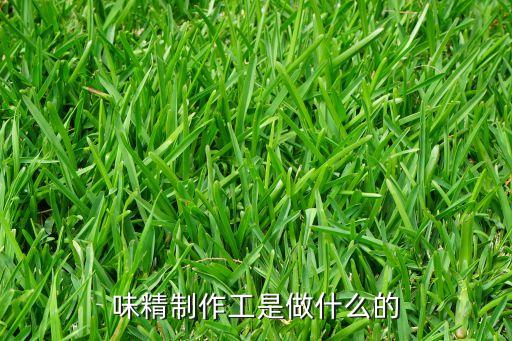 味精全自動化設備,本地味精廠家怎么生產