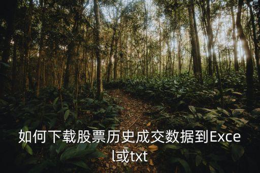 如何下載股票歷史成交數(shù)據(jù)到Excel或txt